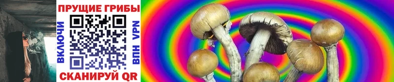 Галлюциногенные грибы GOLDEN TEACHER  Узловая 