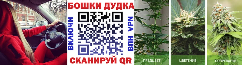 Бошки Шишки Amnesia  Узловая 